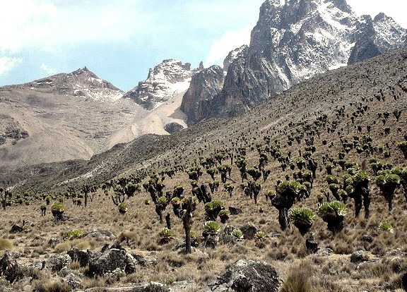 Mount Kenya 5199m is a stratovolcano, the highest mountain in Kenya and the second-highest in Africa, after Kilimanjaro. Mount Kenya is located in central Kenya, just...