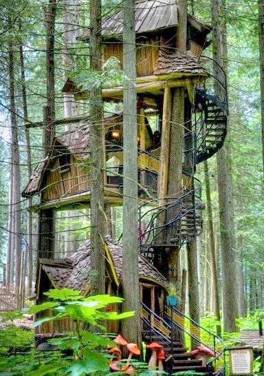 Three Story Tree House, British Columbia, Canada