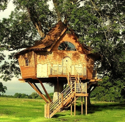 Tree House, Scotland