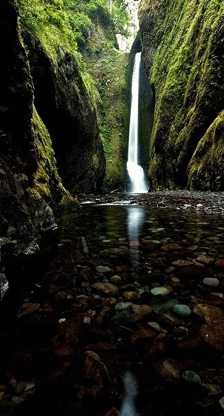 Oneonta Falls in Columbia River Gorge, Oregon, USA