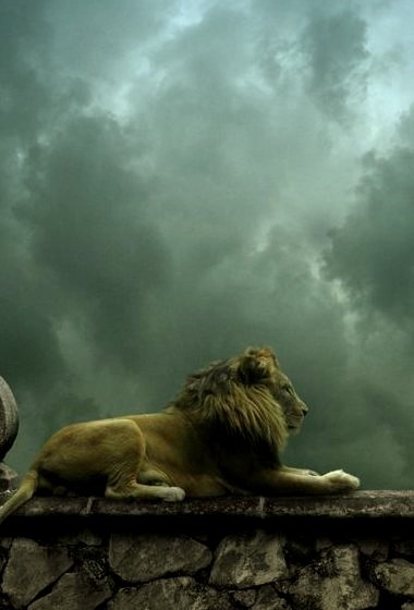 Lion King, Valhalla