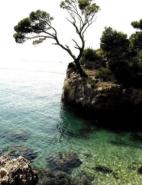 The Dalmatian coast near Brela, Croatia