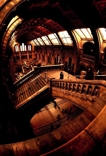 Stairs, Natural History Museum, London