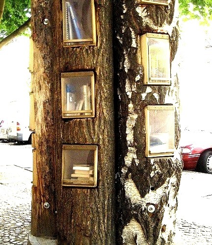 Tree Library, Berlin, Germany