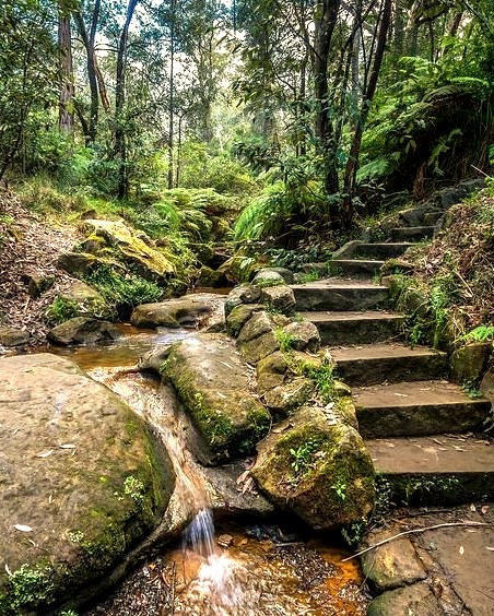 Lapstone Hill steps on the edge of the Blue Mountains, Australia