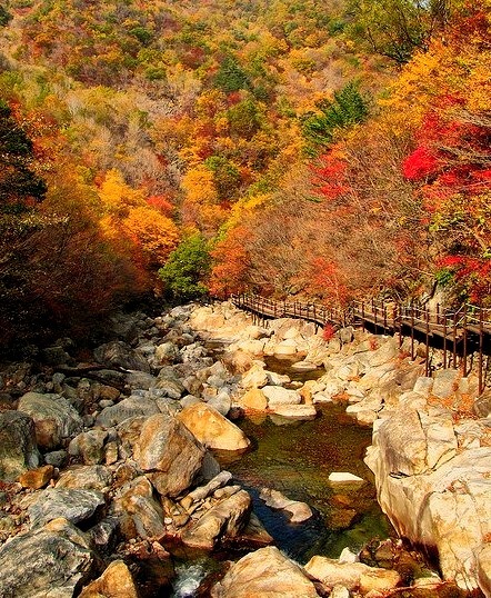 Baemsagol Valley in Jirisan National Park, South Korea