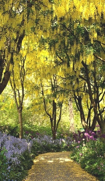 The golden path at VanDusen Botanical Garden in Vancouver, Canada