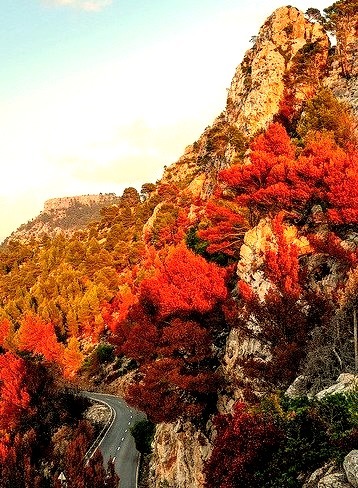 Colors of fire, Mallorca Island / Spain