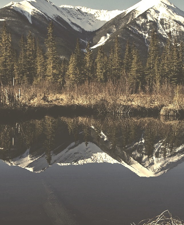 Vermilion Lakes, Canada  Bob Groves